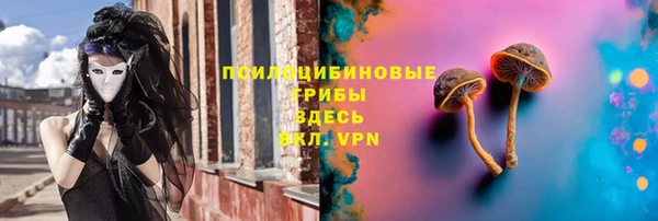 гидра Алексеевка